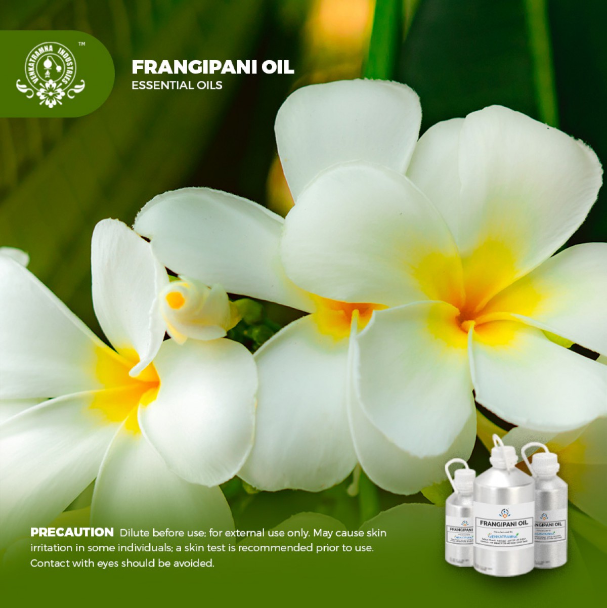 Frangipani Oil - 100% Pure & Natural Frangipani Essential Oil – VedaOils USA